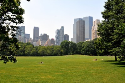 Central_Park_mid-July_2008_-_46